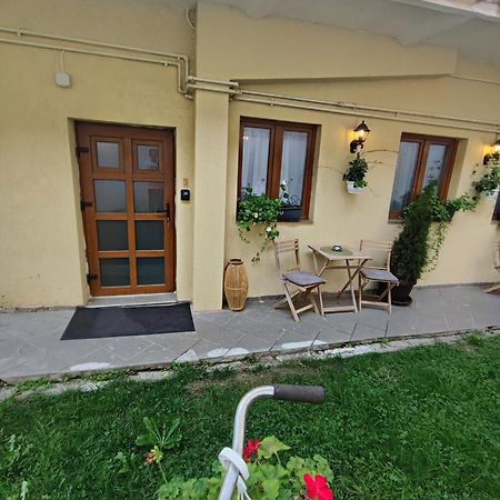 Central Garden Apartments Brasov Luaran gambar