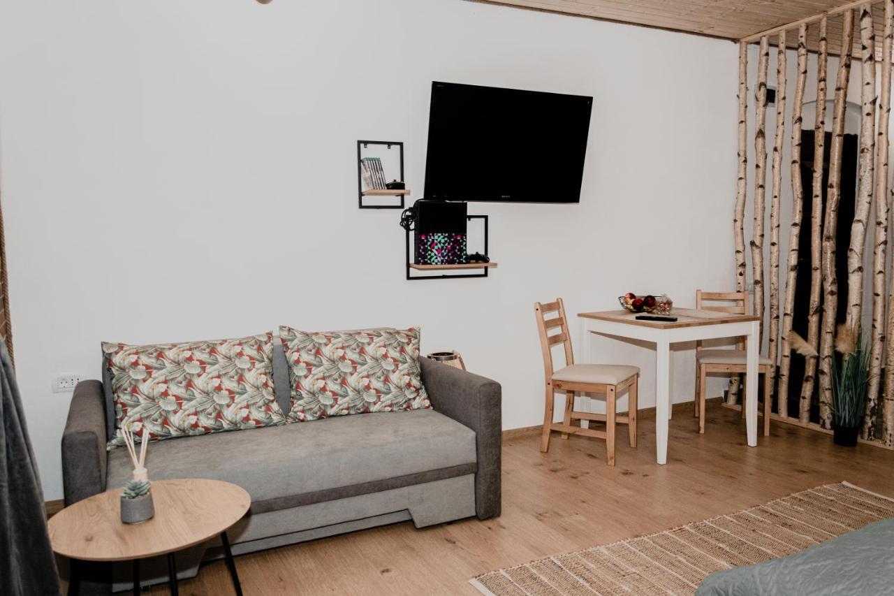 Central Garden Apartments Brasov Luaran gambar