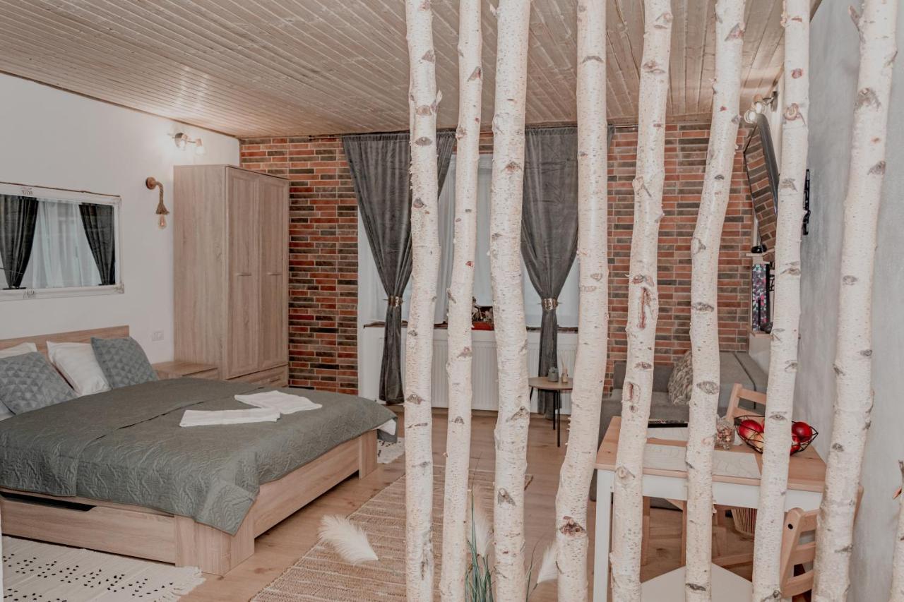 Central Garden Apartments Brasov Luaran gambar